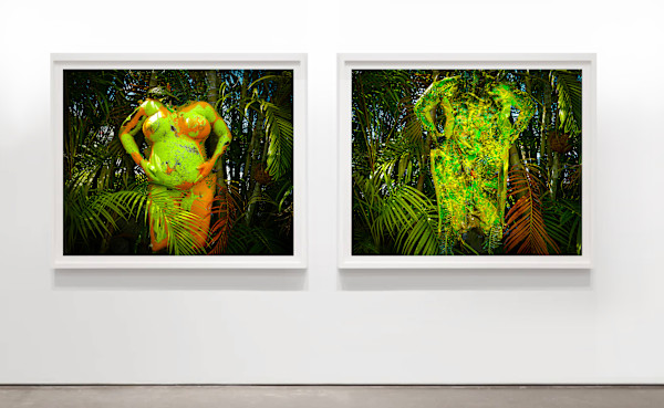 Citrus Skin Weighing on a Pear or Tear Shape, Drain the Swamp or It will Drain You diptych by Coralina Rodriguez Meyer