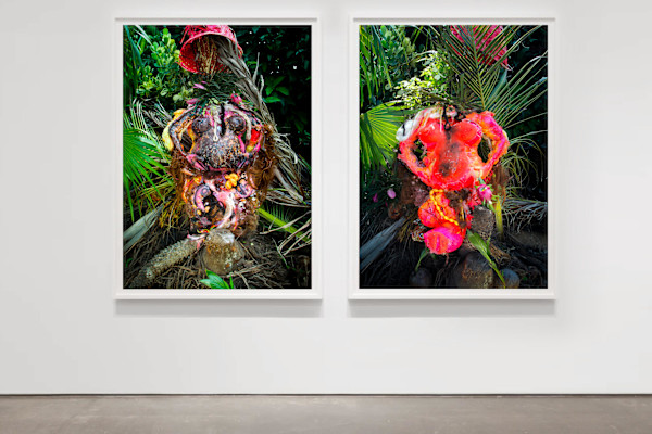Soil: Where the Light Enters by Coralina Rodriguez Meyer, Image 1.