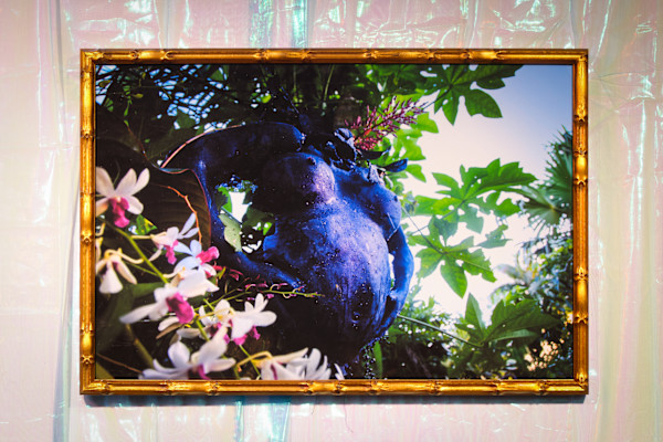 Luna Negra (Velas Negras Homestead Everglades) by Coralina Rodriguez Meyer
