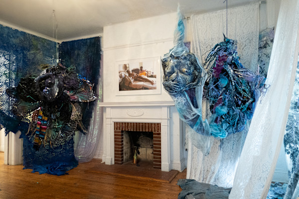 Claimed & Reclaimed by Coralina Rodriguez Meyer