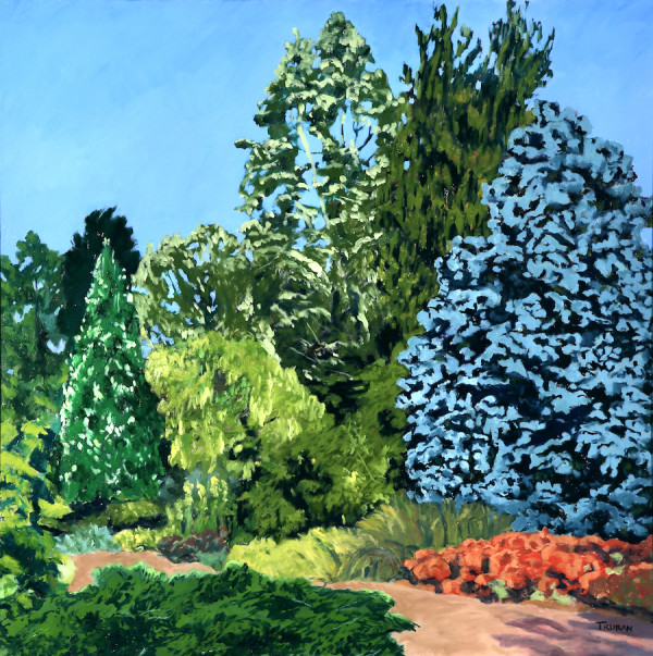 Blue Spruce, Arboretum by Peter Truran
