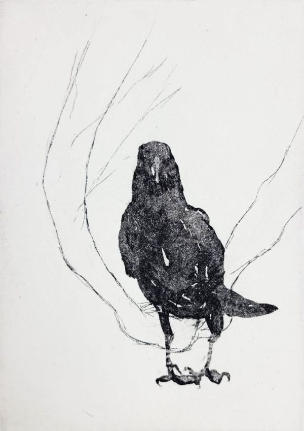 Crow and Hands Etching 1 by PHILIP HARTIGAN