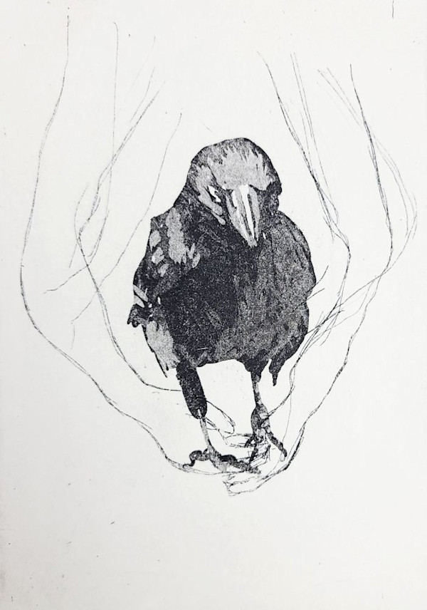 Crow and hands Etching 2 by PHILIP HARTIGAN