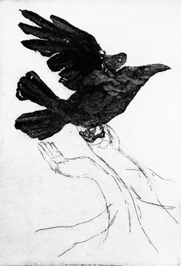 Crow and Hands Etching 6 by PHILIP HARTIGAN