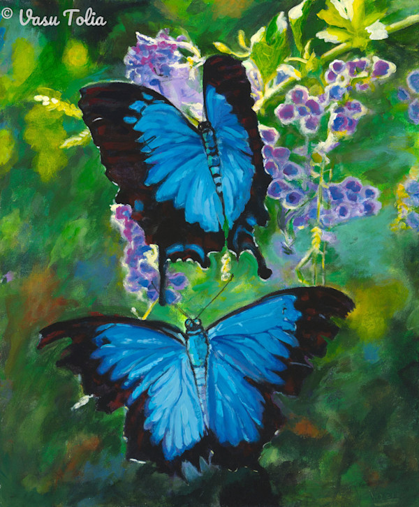 Mariposa Azul (Blue Morpho Butterfly) by Dr. Vasundhara (Vasu) Tolia