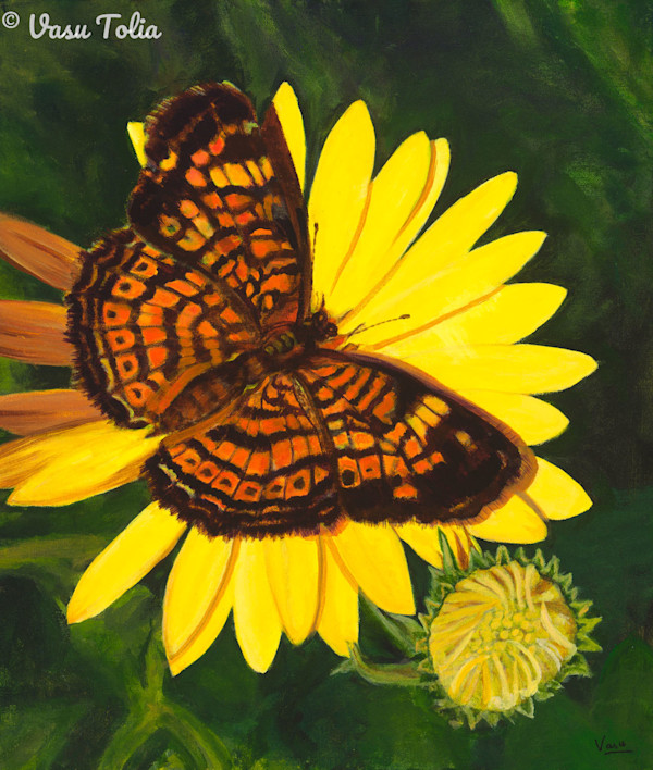 Golden Heaven by Dr. Vasundhara (Vasu) Tolia