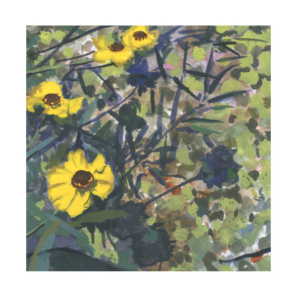 Lichen and Wildflowers by MaryEllen Hackett