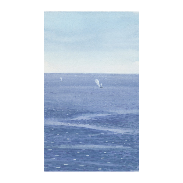 Whales Breathing by MaryEllen Hackett