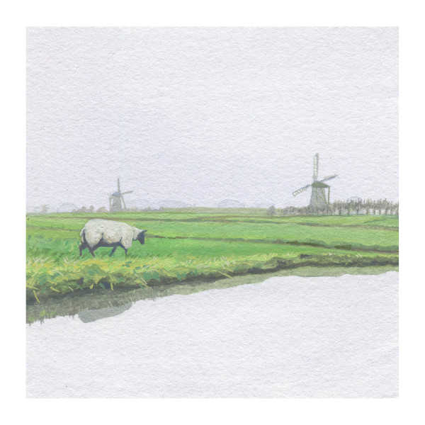 There are no greener pastures, Sheep in Kinderdijk by MaryEllen Hackett