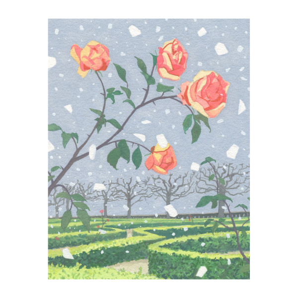 The winter roses by MaryEllen Hackett