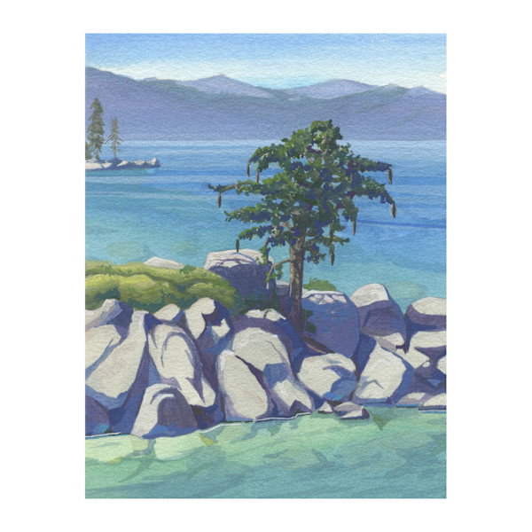 Bonsai Sugarpine (Lake Tahoe)(sale) by MaryEllen Hackett