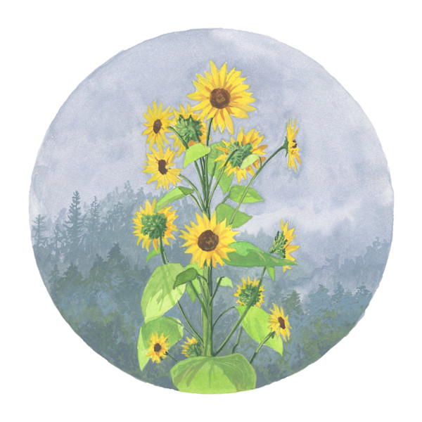 The sun brings the fog also (sale) by MaryEllen Hackett