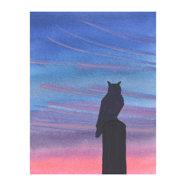 Making a late grocery run (Great Horned Owl) by MaryEllen Hackett, Image 8.