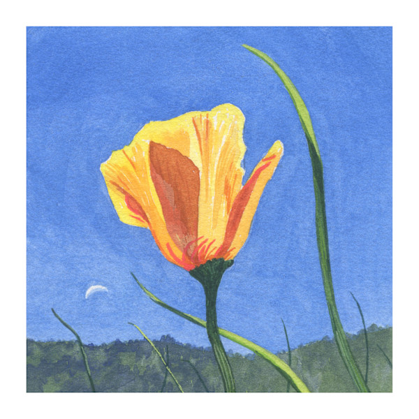 Poppy and Crescent Moon by MaryEllen Hackett, Image 1.