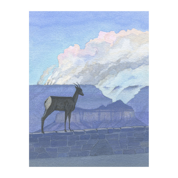 Unbothered (Bighorn Sheep, the Grand Canyon, and the fire) by MaryEllen Hackett, Image 1.