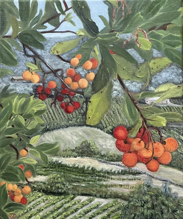 Berries of Tuscany by Barbara Hunter