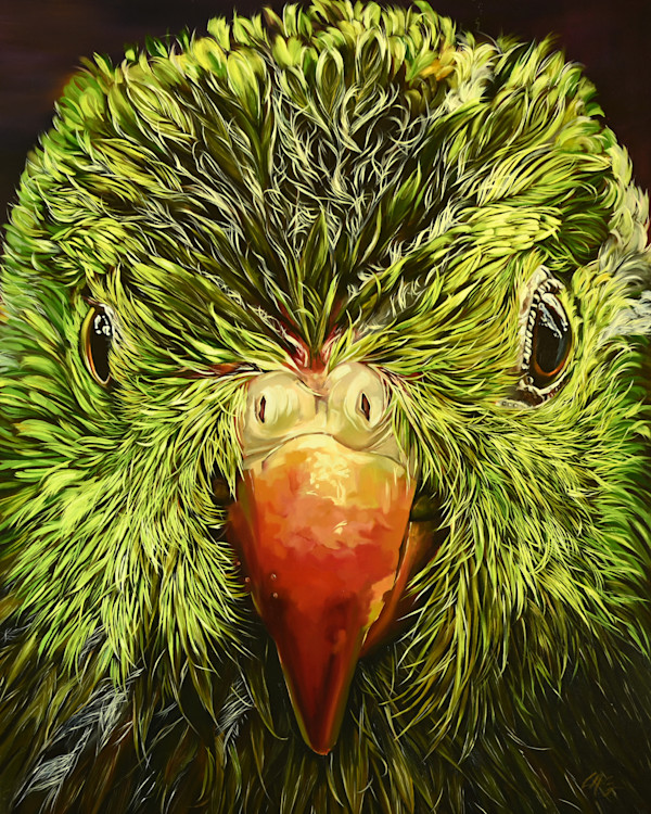 Amazonian Parrot by Lori Spradley, Image 1.