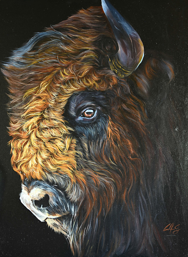 Roam by Lori Spradley, Image 1.