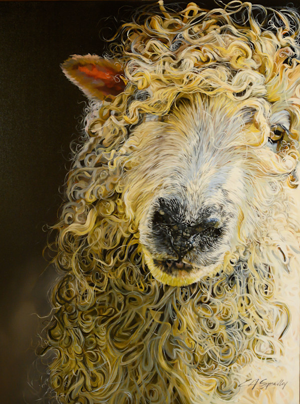 Cotswold Sheep by Lori Spradley, Image 1.