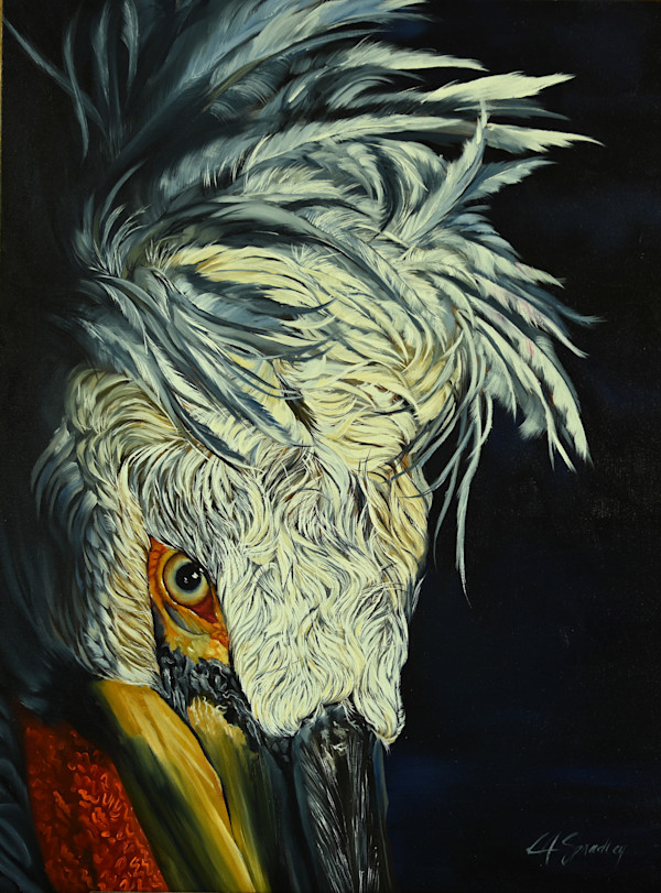 Dalmation Pelican by Lori Spradley, Image 1.