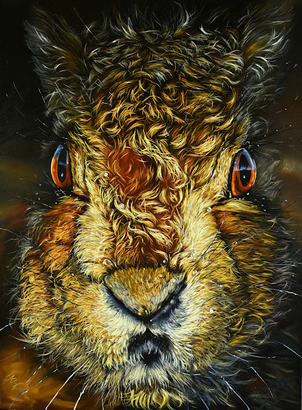 Wet Hare by Lori Spradley, Image 1.