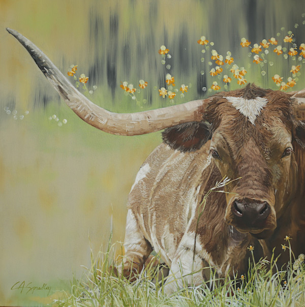 Longhorn in Repose by Lori Spradley, Image 1.