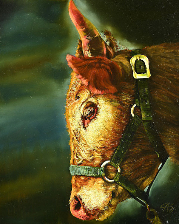 Red Longhorn Calf by Lori Spradley, Image 1.