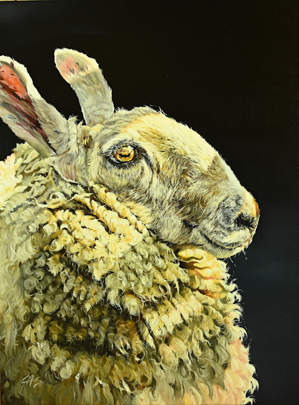 Leicester Sheep Pair _ Left by Lori Spradley, Image 1.