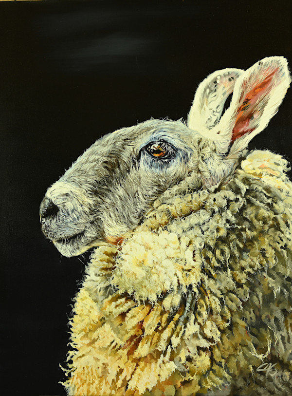 Leicester Sheep Pair _ Right by Lori Spradley, Image 1.