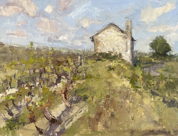 Vineyards in the Loire Valley by Lynn Mehta