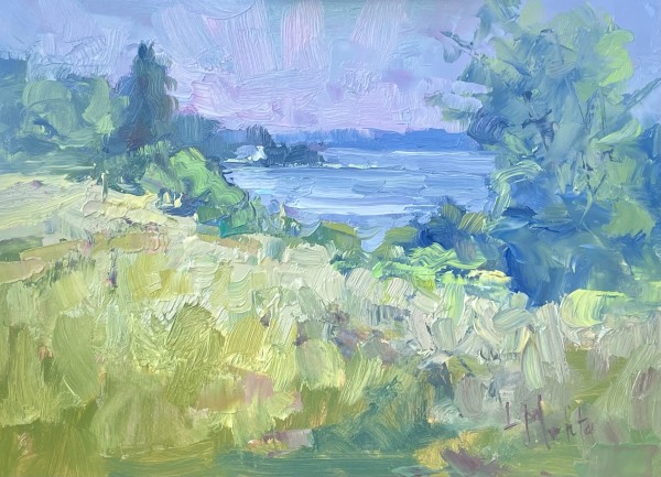 Wachicomico by Lynn Mehta