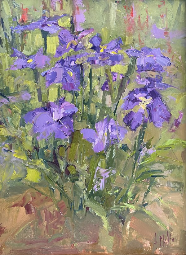Irises by Lynn Mehta