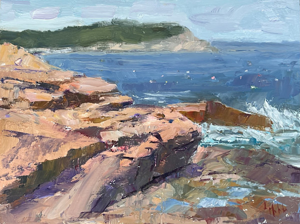 Rocky Coastline by Lynn Mehta