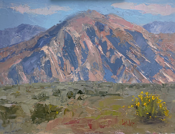 The View by Lynn Mehta