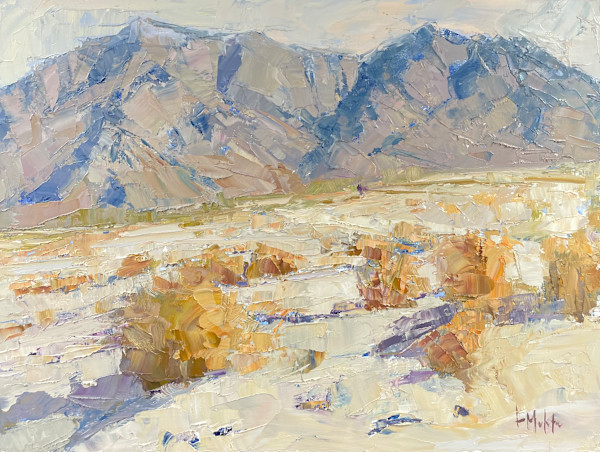 The Cove by Lynn Mehta