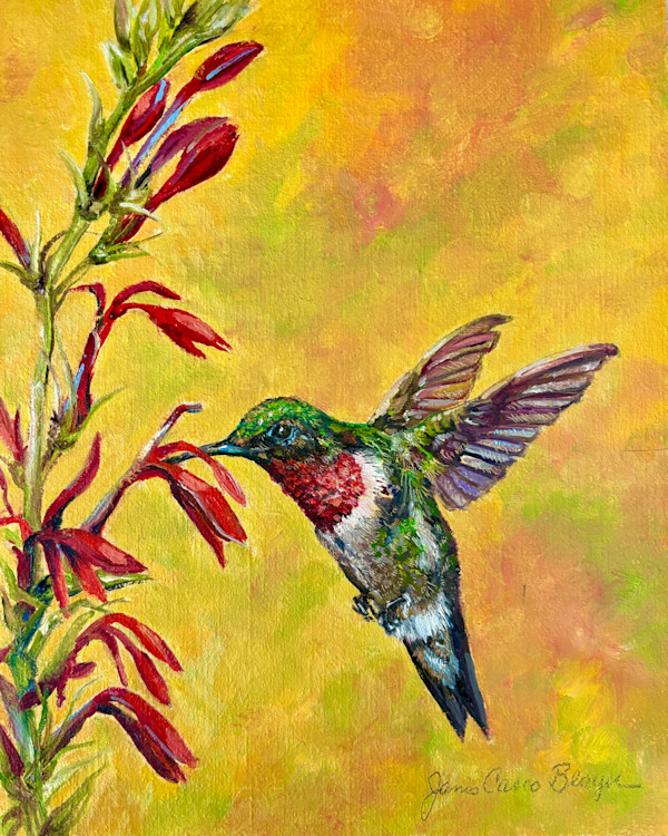 Ruby Throated Hummingbird by Janis Casco Blayer Fine Art