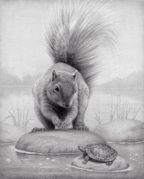 Squirrel and Turtle