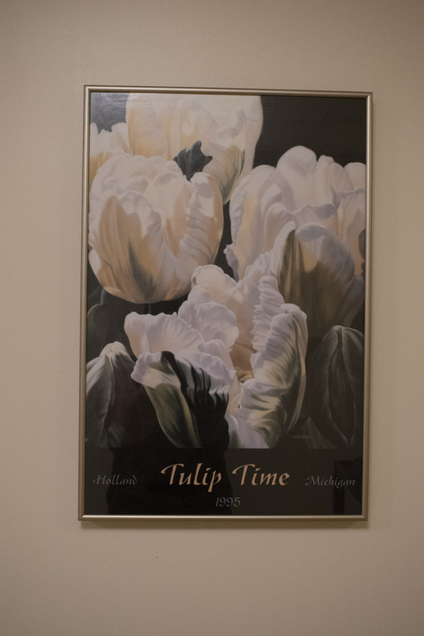 Tulip Time 2 1995 by Winifred Godfrey
