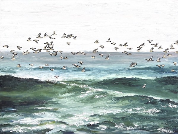 Untitled - Sea Birds
