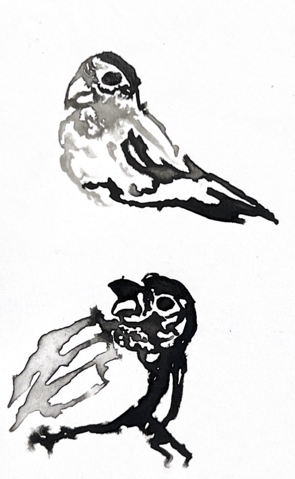 Untitled - Two Birds by Gabriela Vasquez