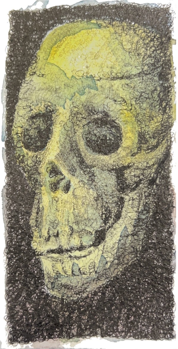Untitled - Skull