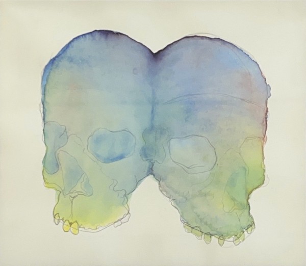 Untitled - Two Rainbow Skulls by Frank Anderson