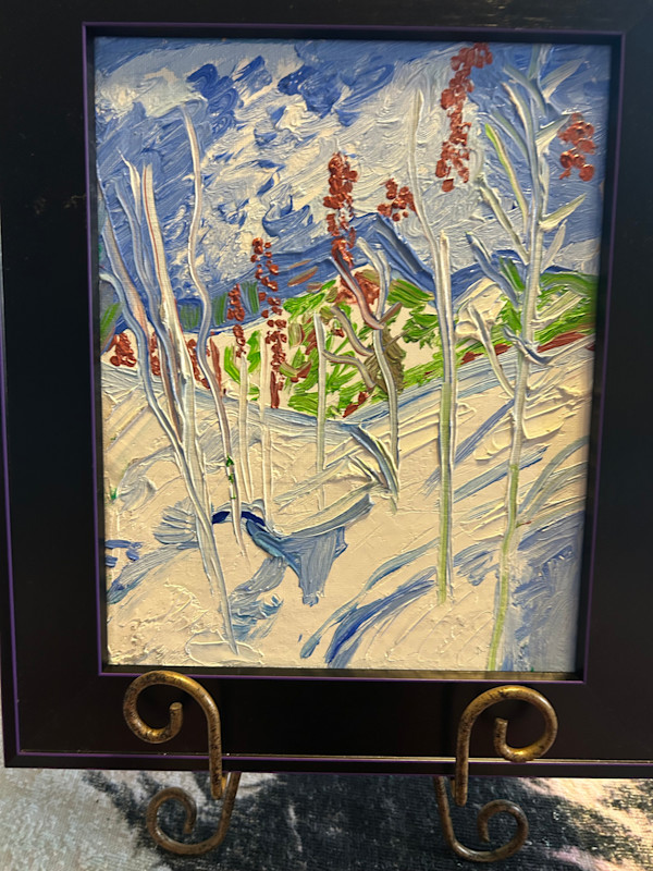 Snow in the Ozarks by Janet Borders