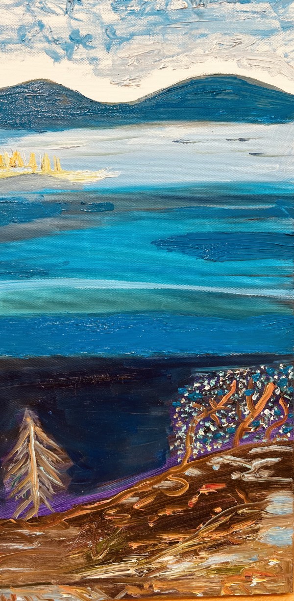 June mountain by Janet Borders