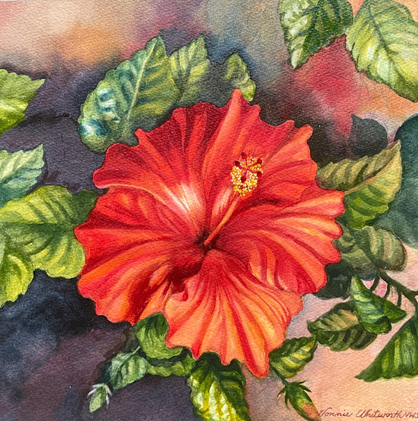 Hibiscus by Vonnie Whitworth