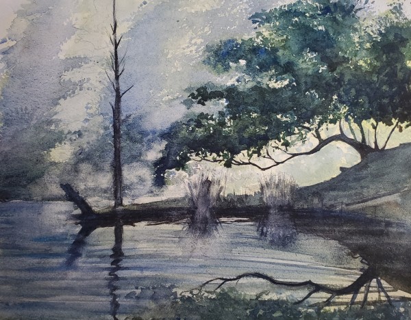 Lone Star Lakes by Terry Wylie
