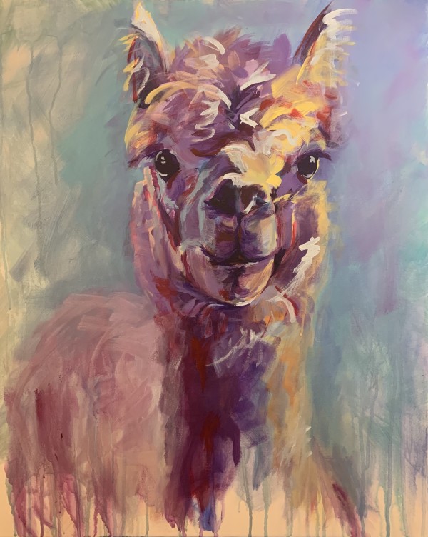 Alpaca by Marisa Canino