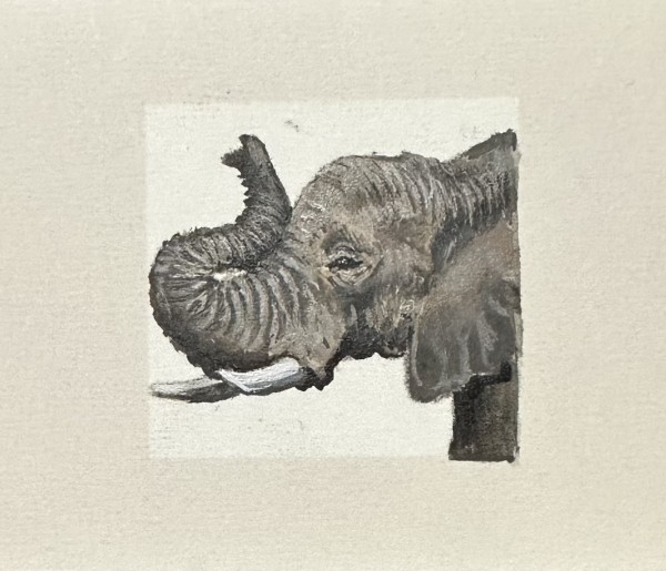 Elephant by Marisa Andropolis