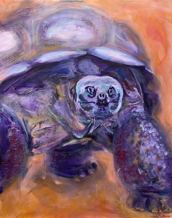 Galapagos Tortoise by Marisa Canino