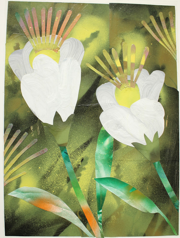 White Flowers on an Evening Walk by Andy Harris